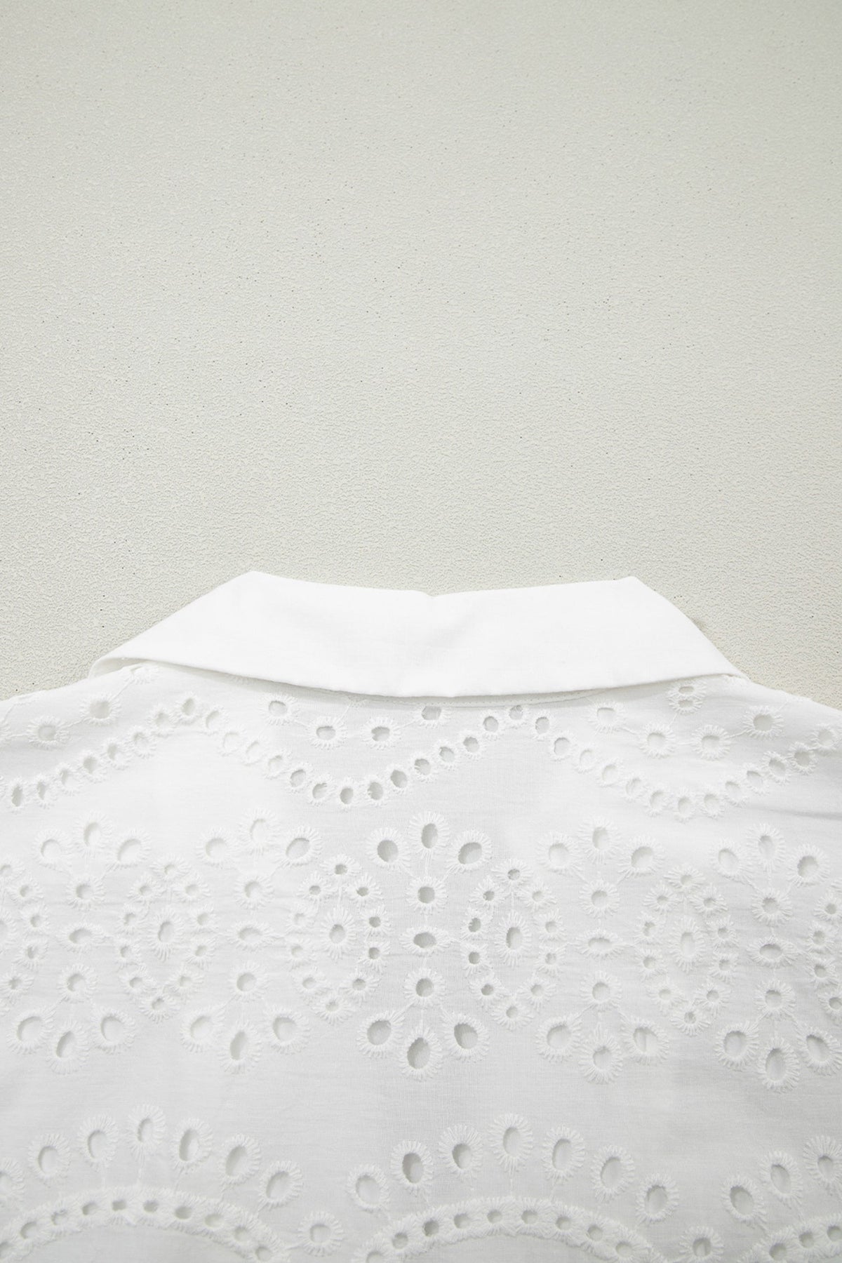 Solid Embroidered Eyelet Collared V-Neck Mini Dress