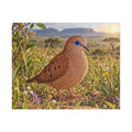 Blue Eyed Ground Dove Meadow Jigsaw Puzzle — Scenic Bird Illustration (110–1014 pcs)