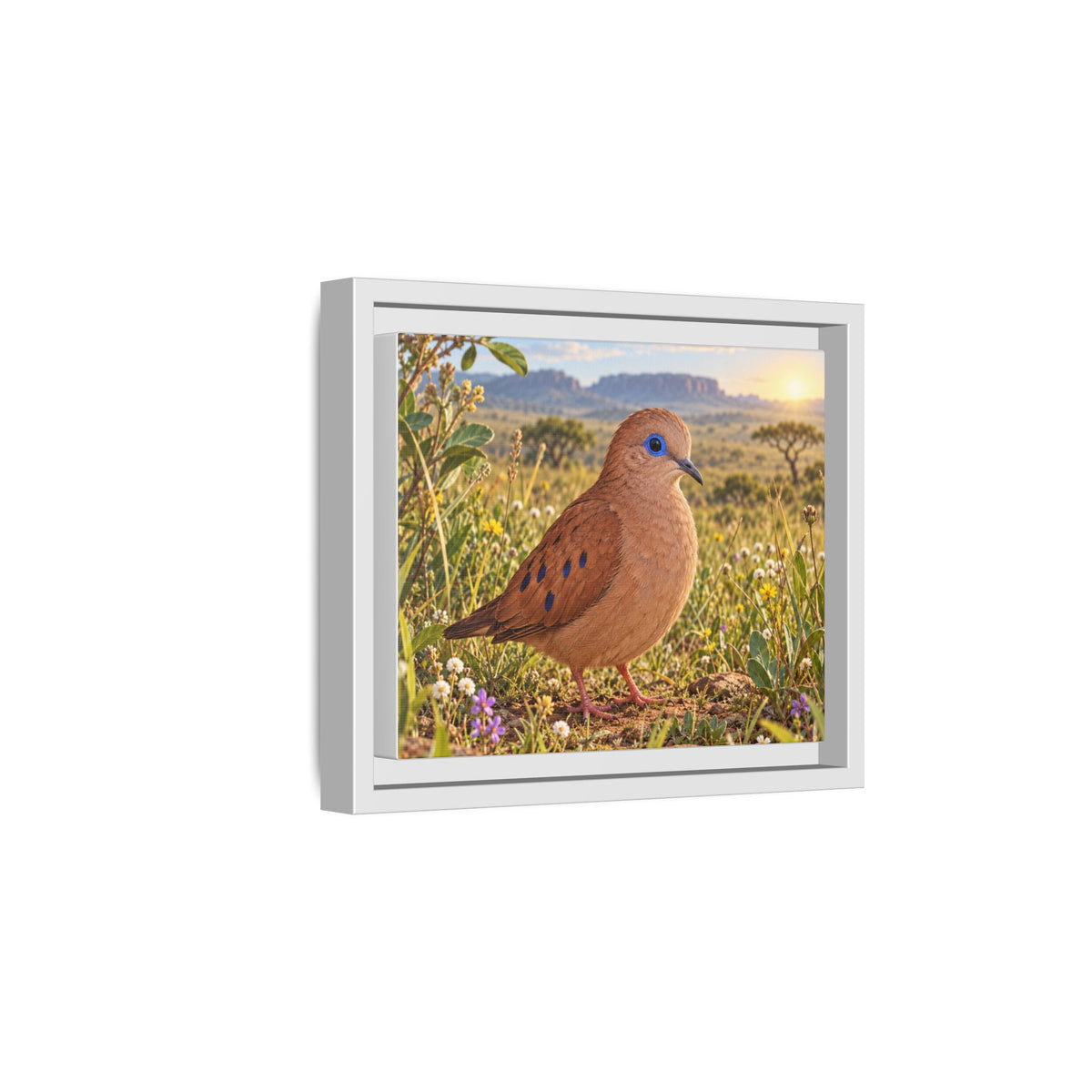 Framed Canvas Wall Art — Whimsical Little Brown Dove in Wildflower Meadow