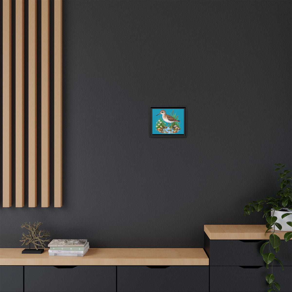 Framed Shorebird Canvas Art — Sandpiper Illustration on Teal Matte