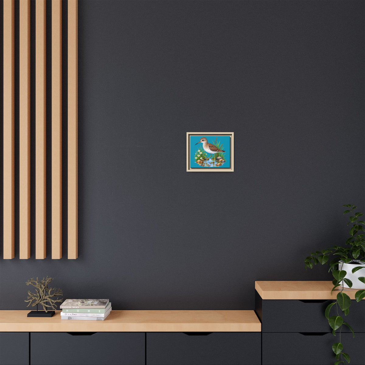 Framed Shorebird Canvas Art — Sandpiper Illustration on Teal Matte