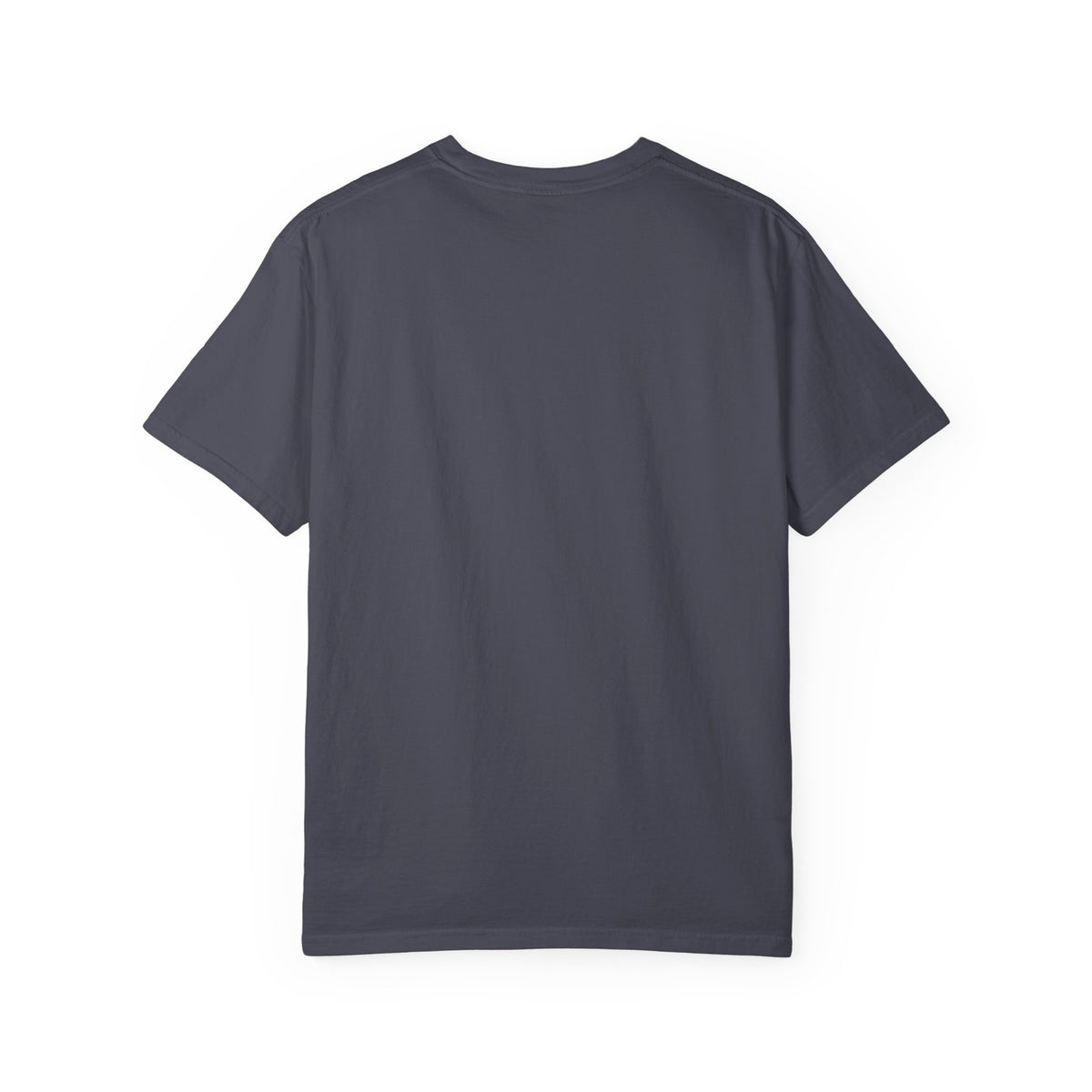 New Dad In Training Tee Shirt