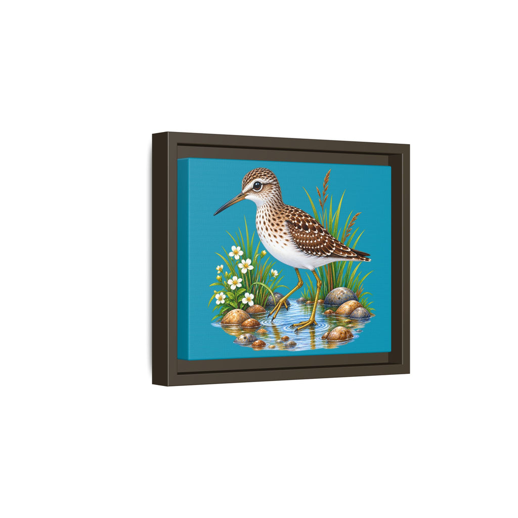 Framed Shorebird Canvas Art — Sandpiper Illustration on Teal Matte