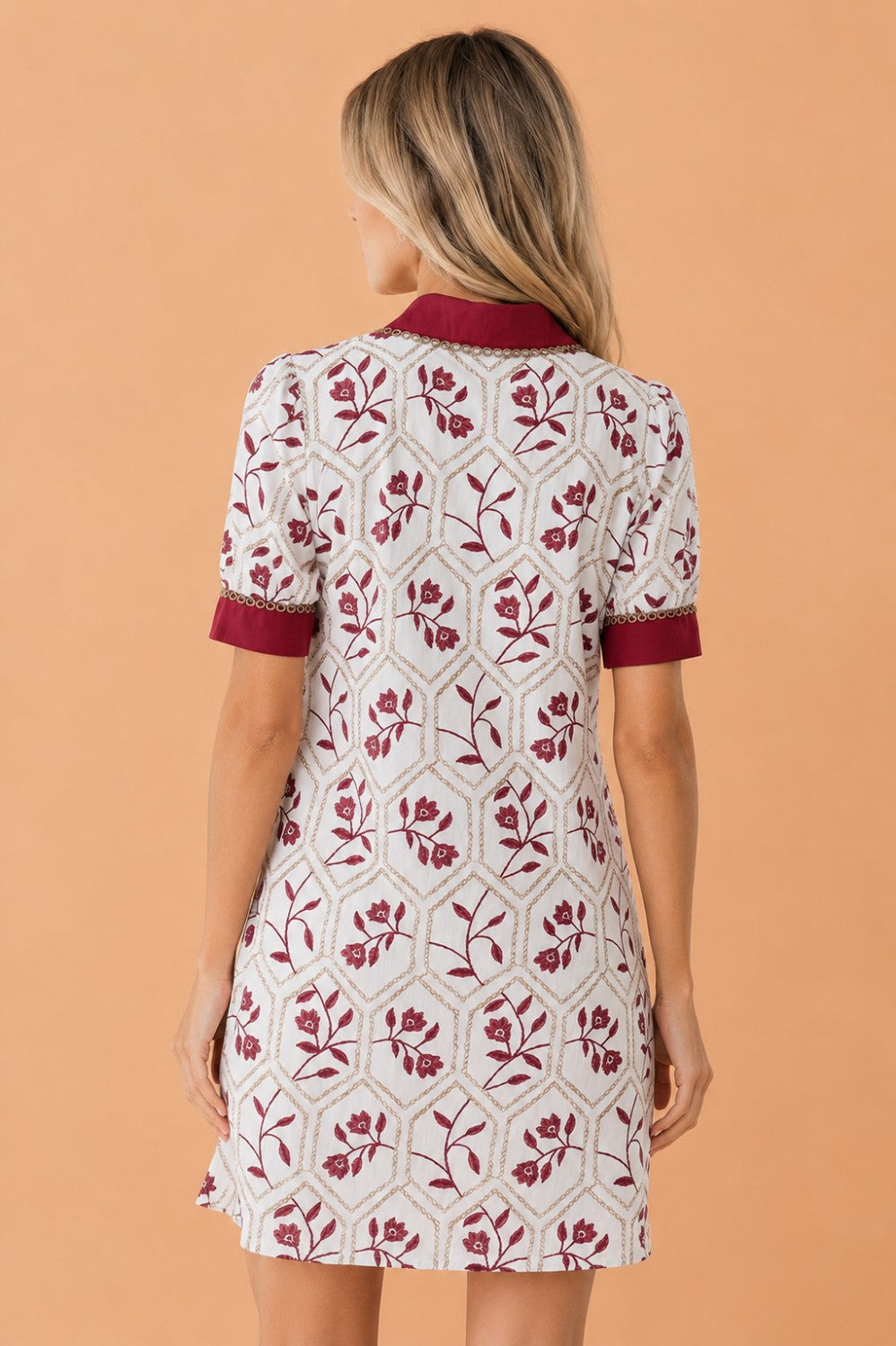 Floral Geometric Lace Trim Collared Mini Dress