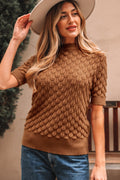 Fish Scale Textured Knit Short Sleeve Sweater