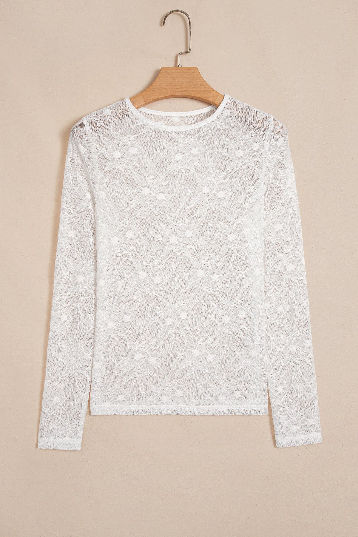 Sheer Lace Mesh Crew Neck Long Sleeve Top