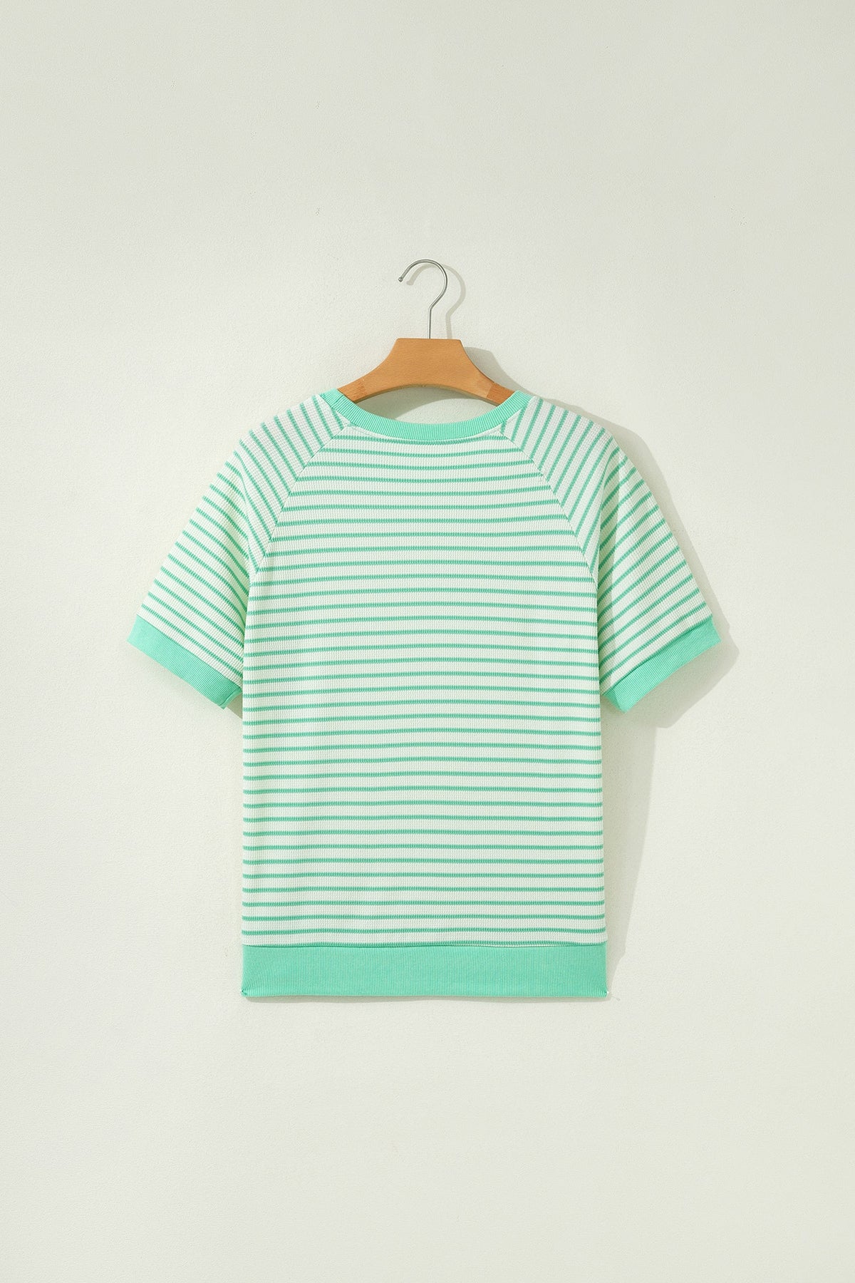 Stripe Colorblock Trim Round Neck Short Sleeve Tee