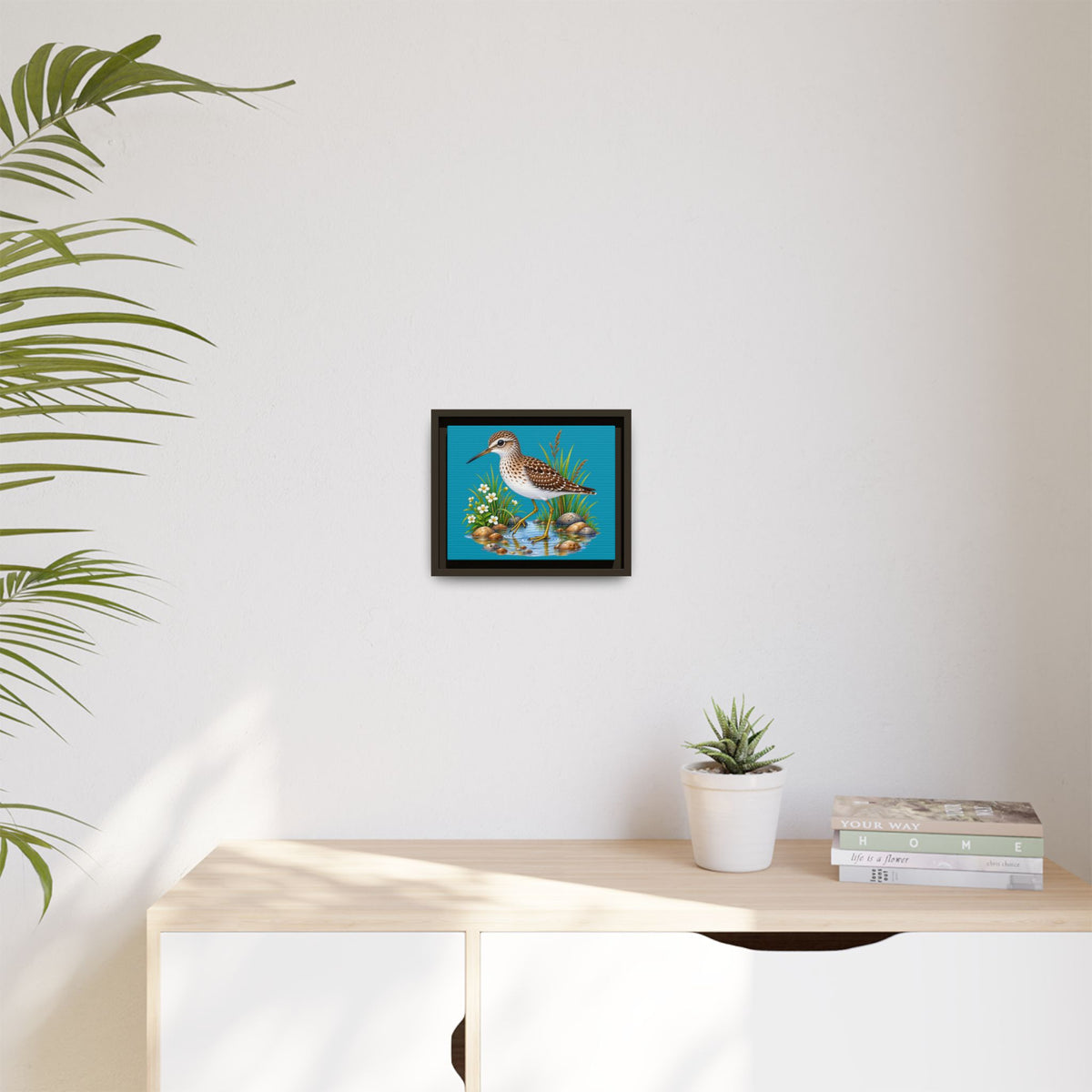 Framed Shorebird Canvas Art — Sandpiper Illustration on Teal Matte