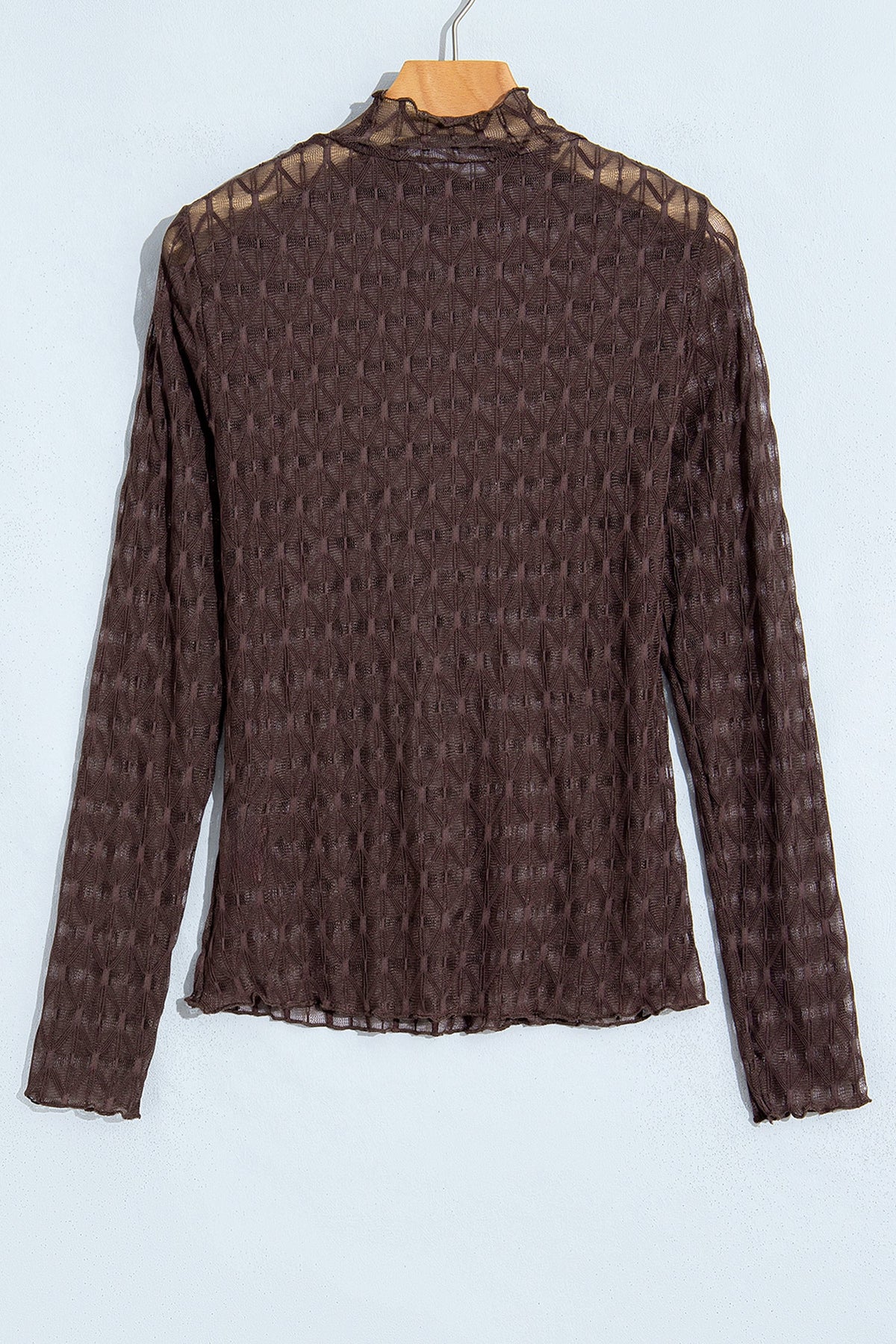 Solid Sheer Textured Lace Mock Neck Long Sleeve Top