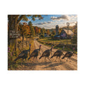 Country Road Turkeys Jigsaw Puzzle — Rustic Farmhouse Scene (110/252/520/1014 pcs)