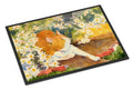 Cat Doormat Indoor Outdoor 24H X 36W Front Door Mat Rugs for Entryway, Non Slip Washable Low Pile,