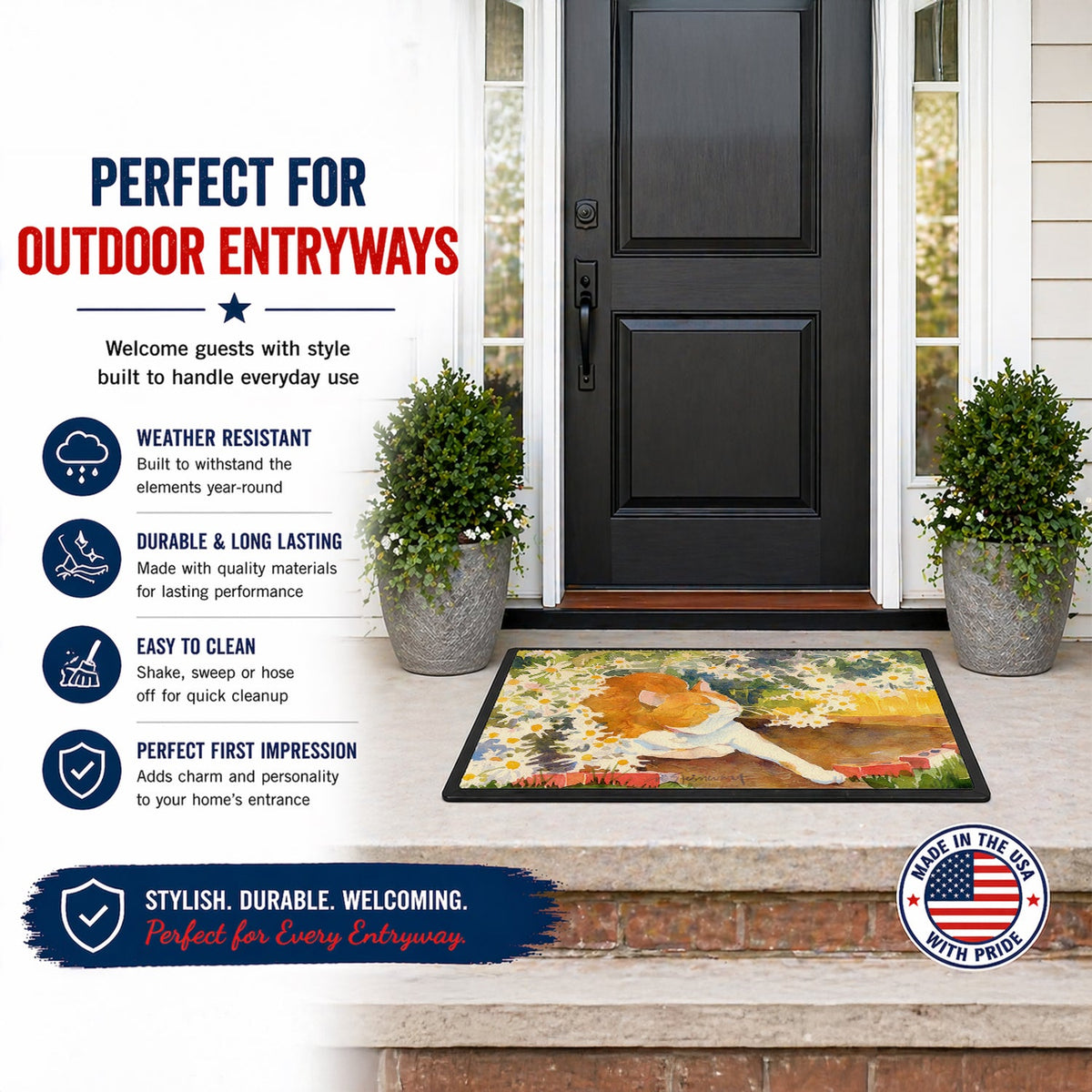 Cat Doormat Indoor Outdoor 18H X 27W Front Door Mat Rugs for Entryway, Non Slip Washable