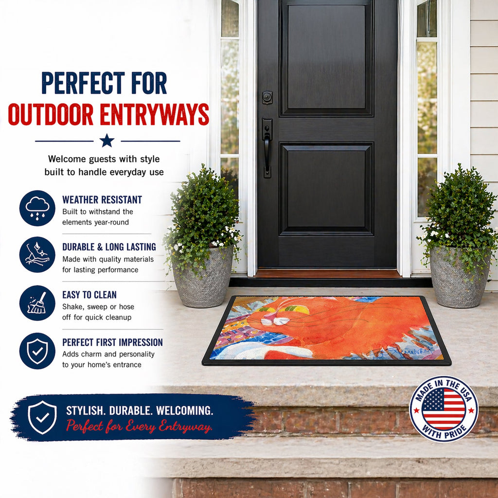 Cat Doormat Indoor Outdoor 24H X 36W Front Door Mat Rugs for Entryway, Non Slip Washable Low Pile,