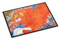 Cat Doormat Indoor Outdoor 24H X 36W Front Door Mat Rugs for Entryway, Non Slip Washable Low Pile,