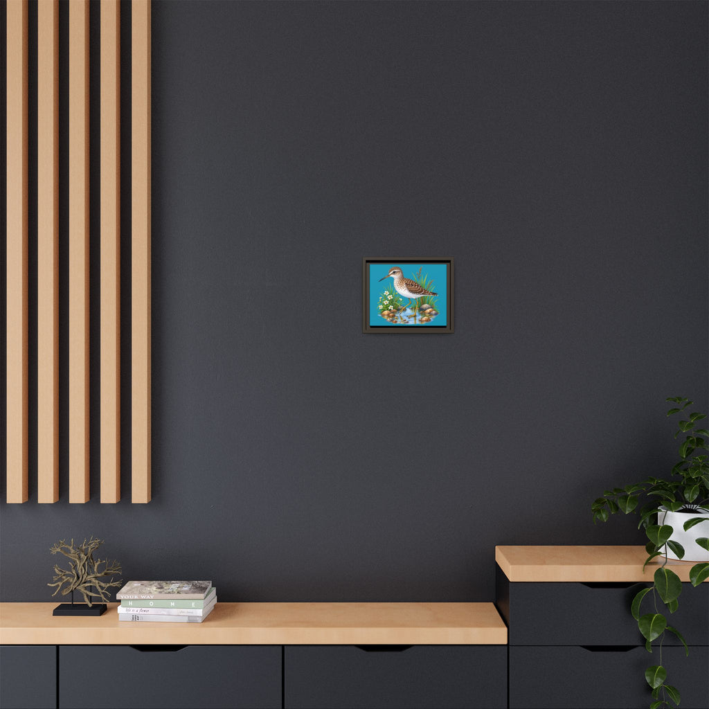 Framed Shorebird Canvas Art — Sandpiper Illustration on Teal Matte