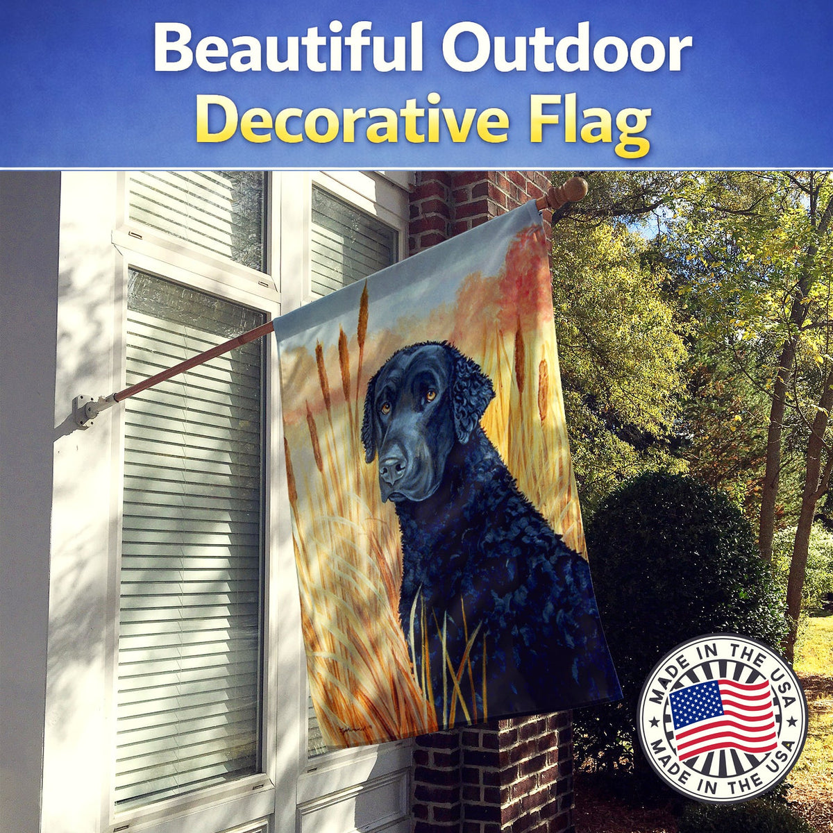 Curly Coated Retriever House Flag 28x40 Porch Sleeve Pole Decorative Outside Yard Banner Artwork Wall Hanging, Polyester