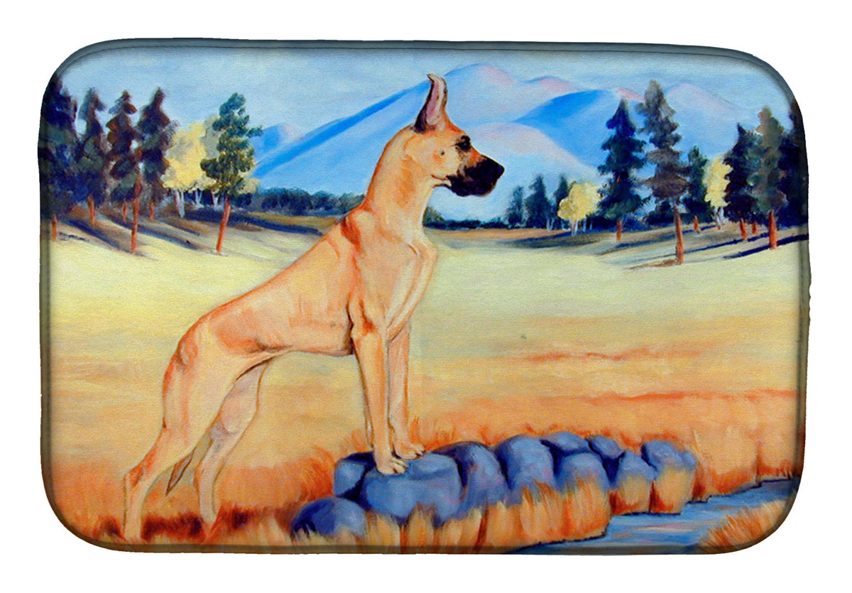 Great Dane Dish Drying Mat Absorbent Dish Drying Mat Pad for Kitchen Counter Dish Drainer Mat for Countertop, 14 x 21", Multicolor