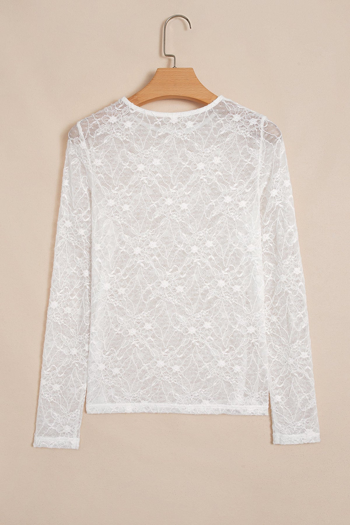 Sheer Lace Mesh Crew Neck Long Sleeve Top
