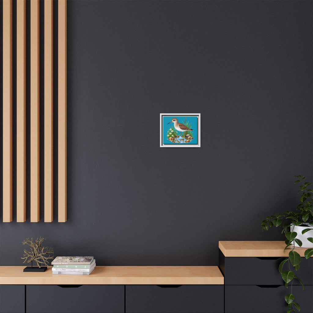 Framed Shorebird Canvas Art — Sandpiper Illustration on Teal Matte
