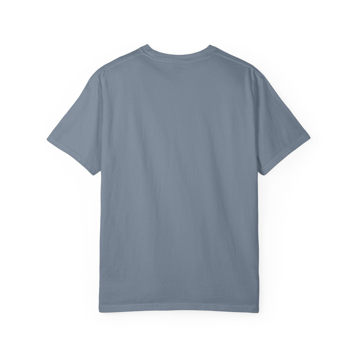 New Dad In Training Tee Shirt