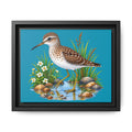 Framed Shorebird Canvas Art — Sandpiper Illustration on Teal Matte