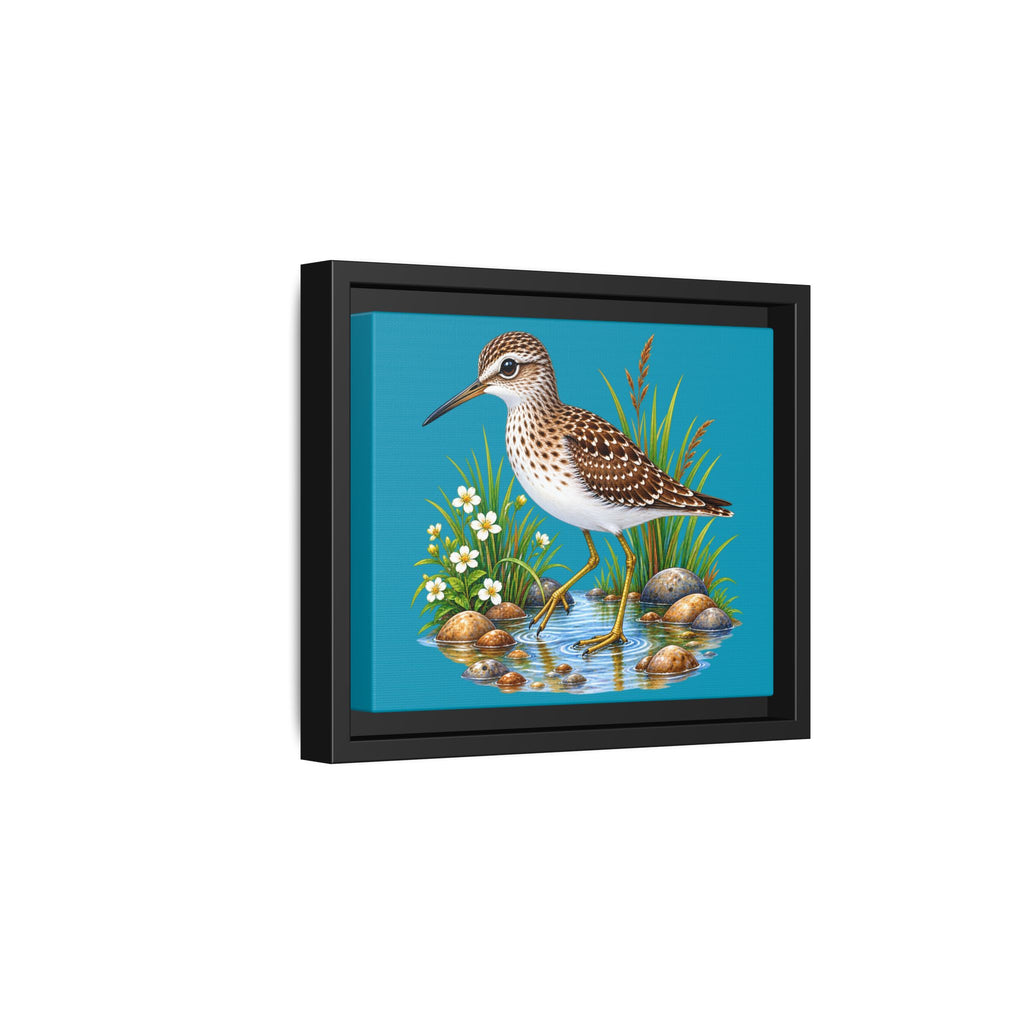 Framed Shorebird Canvas Art — Sandpiper Illustration on Teal Matte