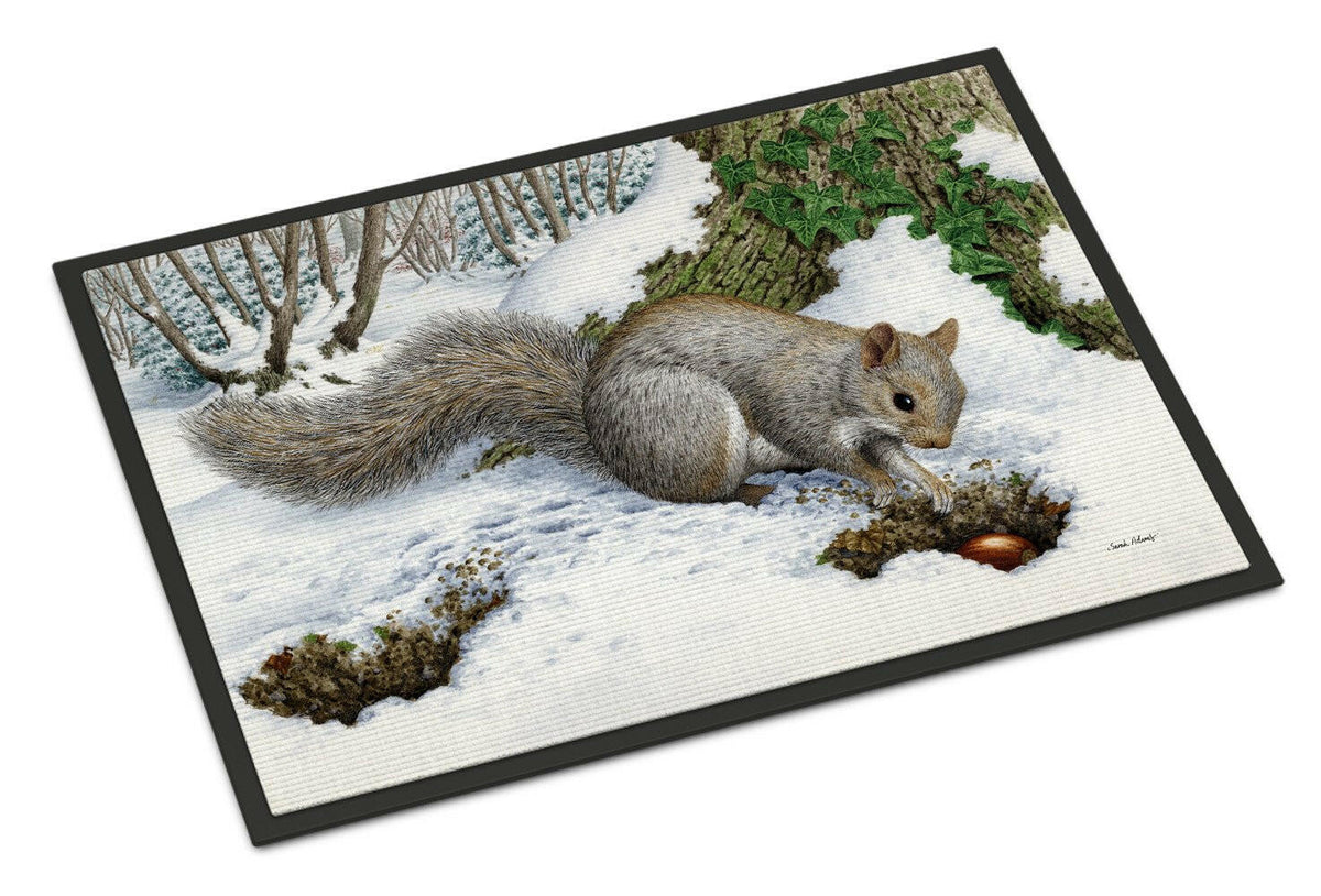 Grey Squirrel Doormat Indoor Outdoor 24H X 36W Front Door Mat Rugs for Entryway, Non Slip Washable Low Pile,
