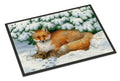 Winter Fox Doormat Indoor Outdoor 24H X 36W Front Door Mat Rugs for Entryway, Non Slip Washable Low Pile,
