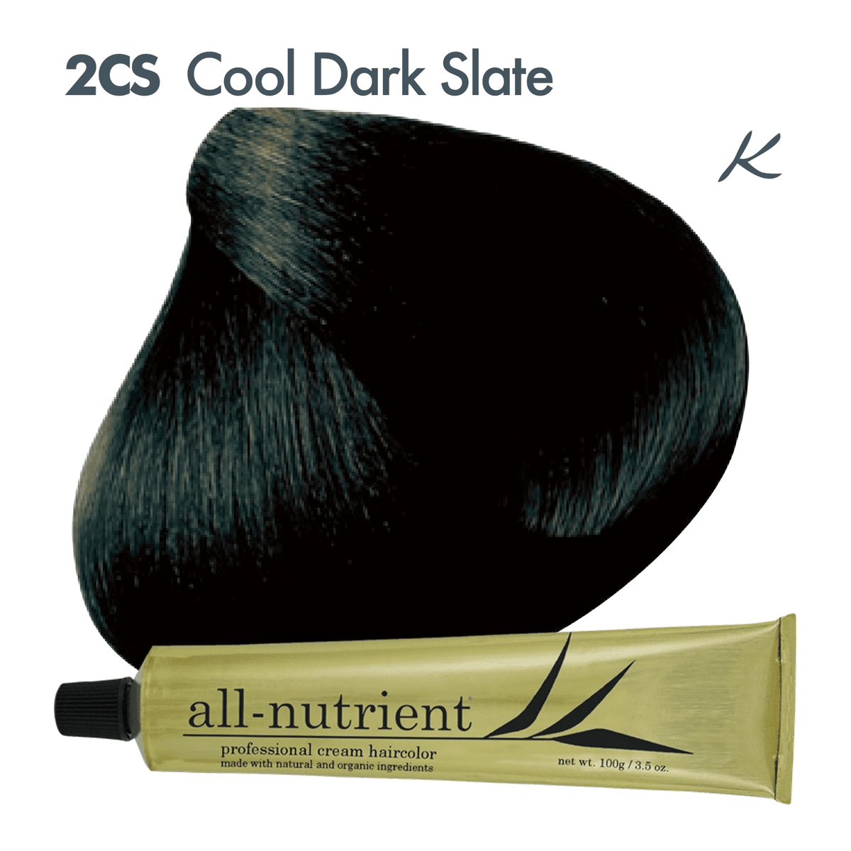 All-Nutrient Professional Cream Haircolor 6CS Slate, 3.5 oz