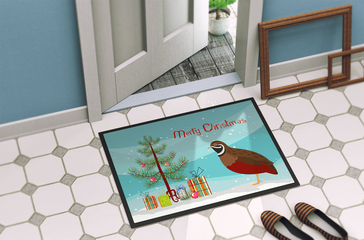 Chinese Painted or King Quail Christmas Doormat Indoor Outdoor 24H X 36W Front Door Mat Rugs for Entryway, Non Slip Washable Low Pile,