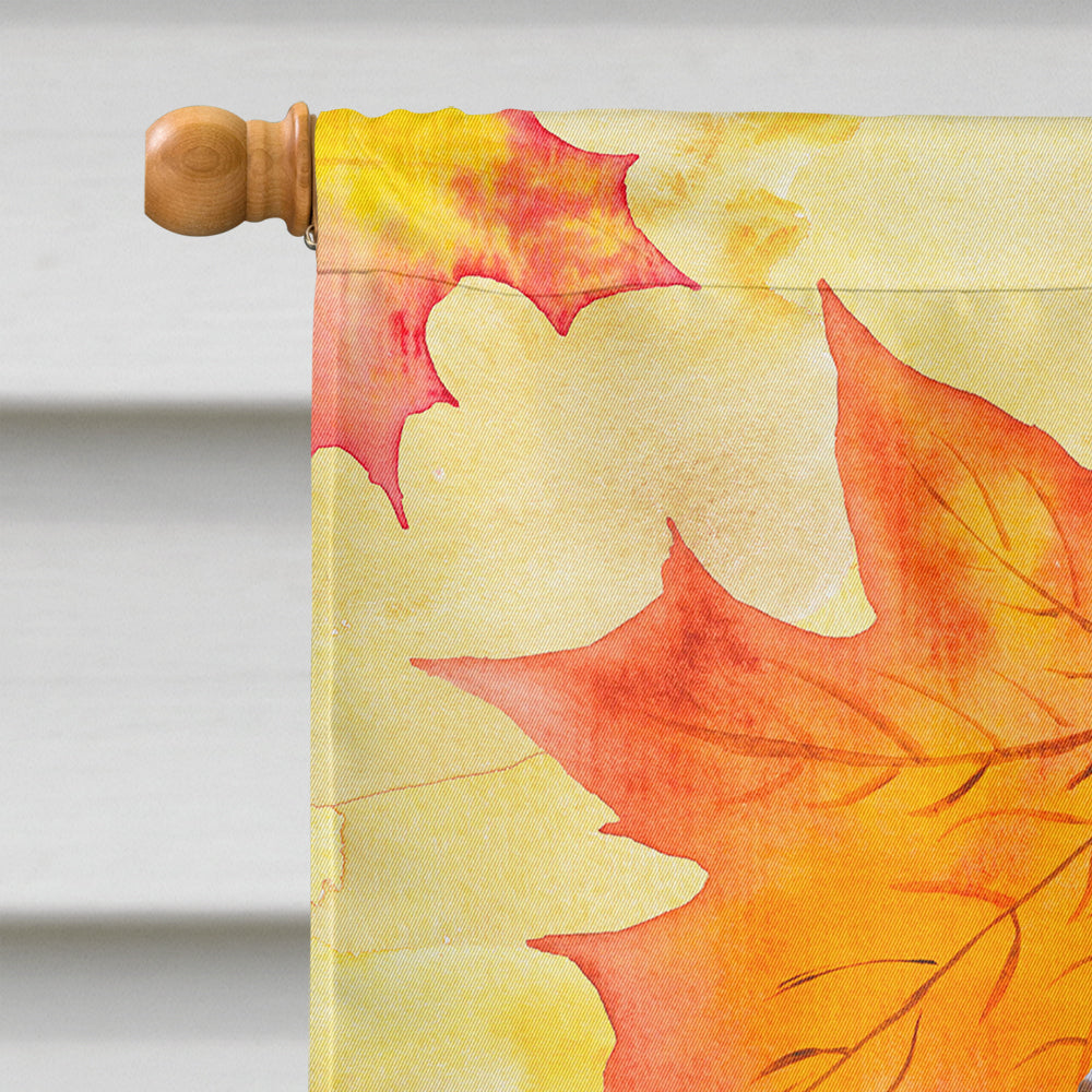 Doberman Pinscher Fall House Flag 28x40 Porch Sleeve Pole Decorative Outside Yard Banner Artwork Wall Hanging, Polyester