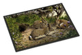 Rabbits and the Rabbit Hole Doormat Indoor Outdoor 18H X 27W Front Door Mat Rugs for Entryway, Non Slip Washable
