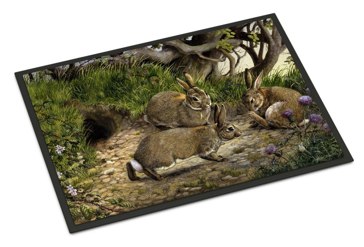 Rabbits and the Rabbit Hole Doormat Indoor Outdoor 18H X 27W Front Door Mat Rugs for Entryway, Non Slip Washable