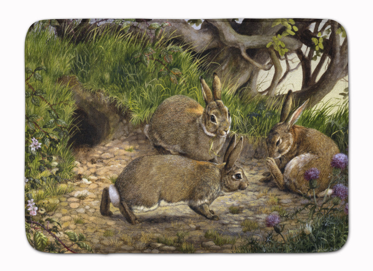Rabbits and the Rabbit Hole Memory Foam Kitchen Mat Machine Washable Anti-Fatigue Cushion Comfort Bath or Kitchen Rug