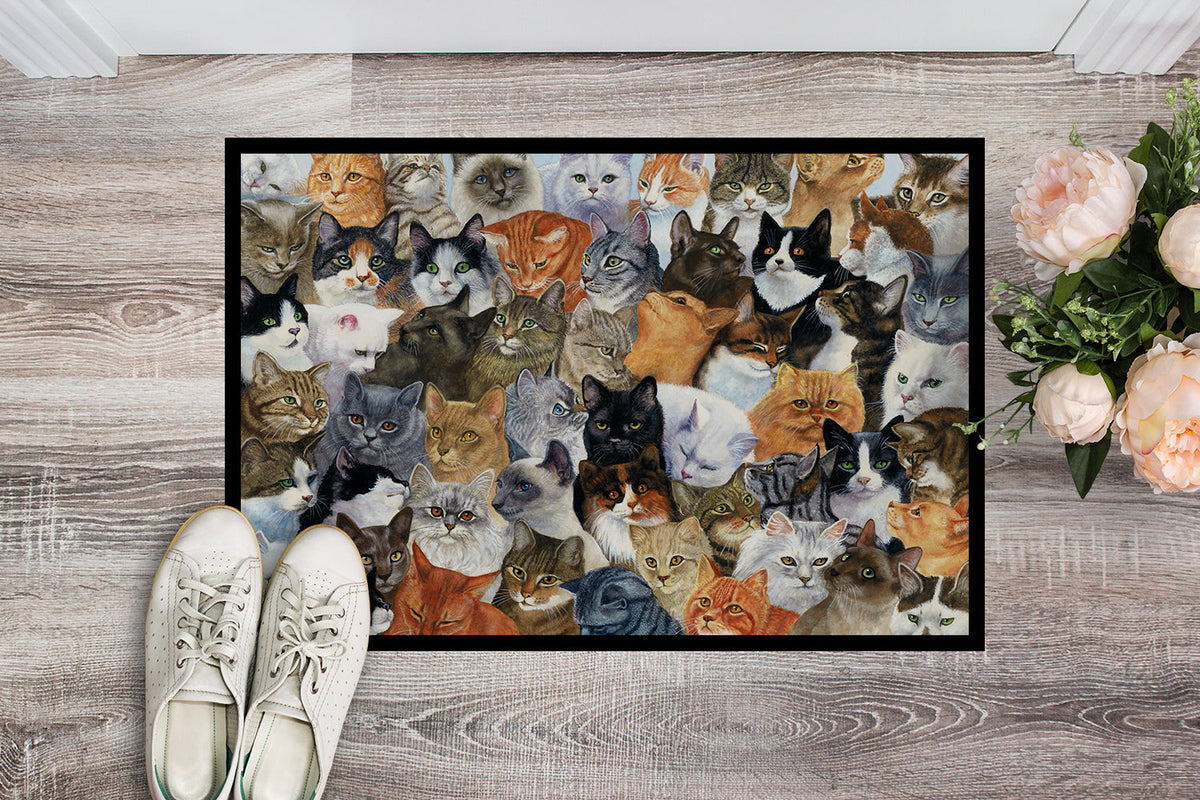Cats Galore Doormat Indoor Outdoor 18H X 27W Front Door Mat Rugs for Entryway, Non Slip Washable