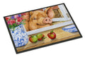 Pig trying to reach the Apple in the Window Doormat Indoor Outdoor 18H X 27W Front Door Mat Rugs for Entryway, Non Slip Washable