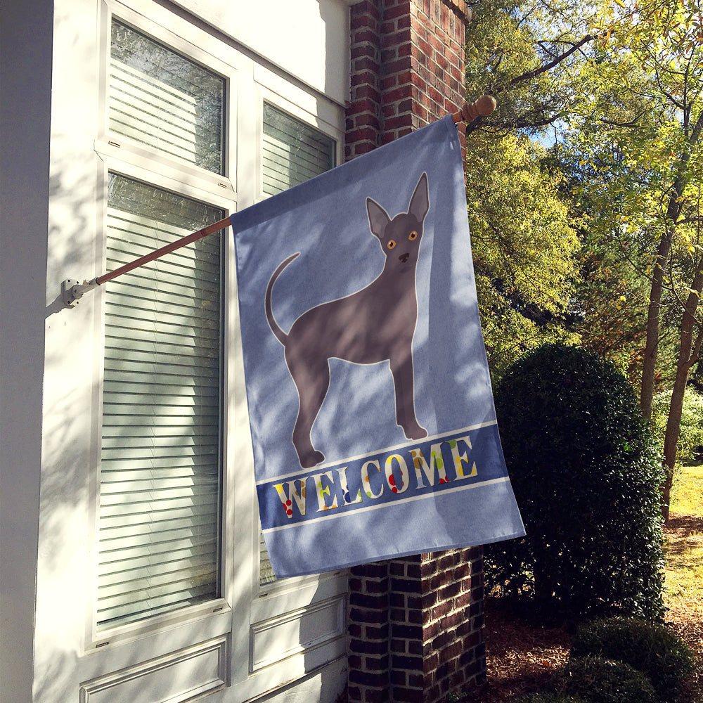 Abyssinian or African Hairless Dog Welcome House Flag 28x40 Porch Sleeve Pole Decorative Outside Yard Banner Artwork Wall Hanging, Polyester