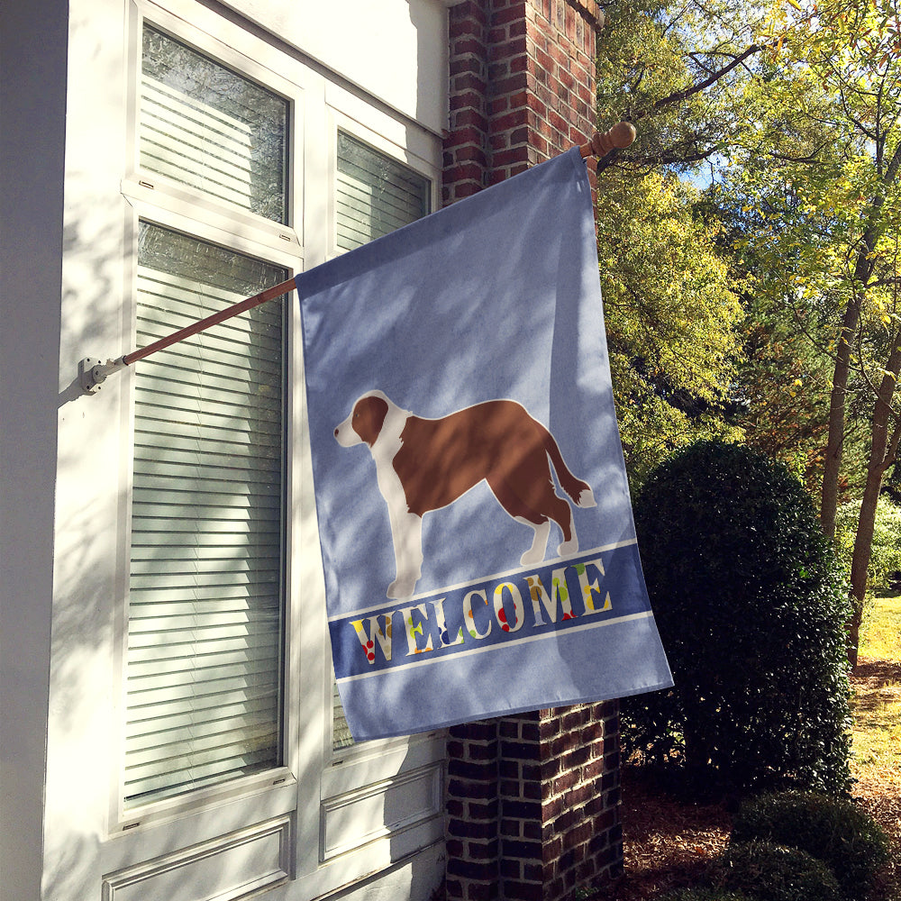 Borador Welcome House Flag 28x40 Porch Sleeve Pole Decorative Outside Yard Banner Artwork Wall Hanging, Polyester