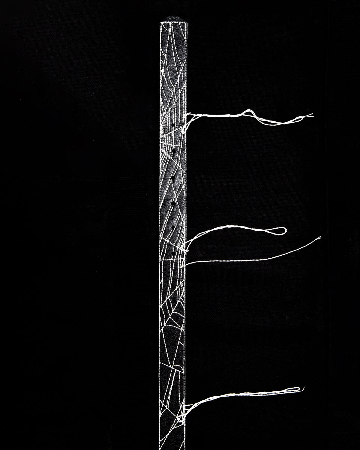 BL NIGHTWEB BELT