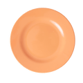 Melamine Lunch Plate | Soft Apricot