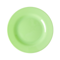 Melamine Lunch Plate | Neon Green