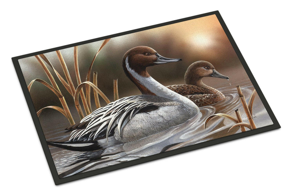 Pintails Doormat Indoor Outdoor 18H X 27W Front Door Mat Rugs for Entryway, Non Slip Washable