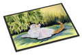 Cat Doormat Indoor Outdoor 24H X 36W Front Door Mat Rugs for Entryway, Non Slip Washable Low Pile,