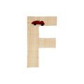 One Raffia Letter Sticker | Boy - F