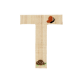 One Raffia Letter Sticker | Girl - T