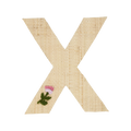 One Raffia Letter Sticker | Girl - X