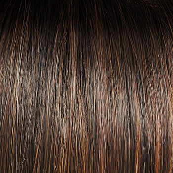 Raquel Welch Upstage Wig, SS8/29 SS Hazelnut, Large