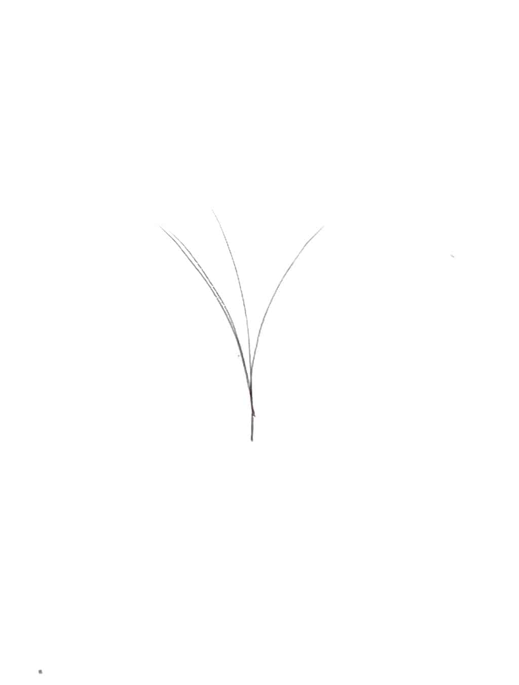 VIP Extensions V Type Easy Fan Lash Extensions 0.05 C Curl 12 Lines, Mixed Lengths