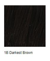 American Hairlines William Topper Hairpiece, 1B