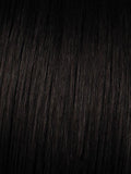Hairdo Fishtail Braid Headband Hair Extension, Color R2